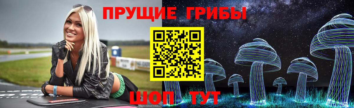 Псилоцибиновые грибы Cubensis  Вход с VPN  Димитровград 