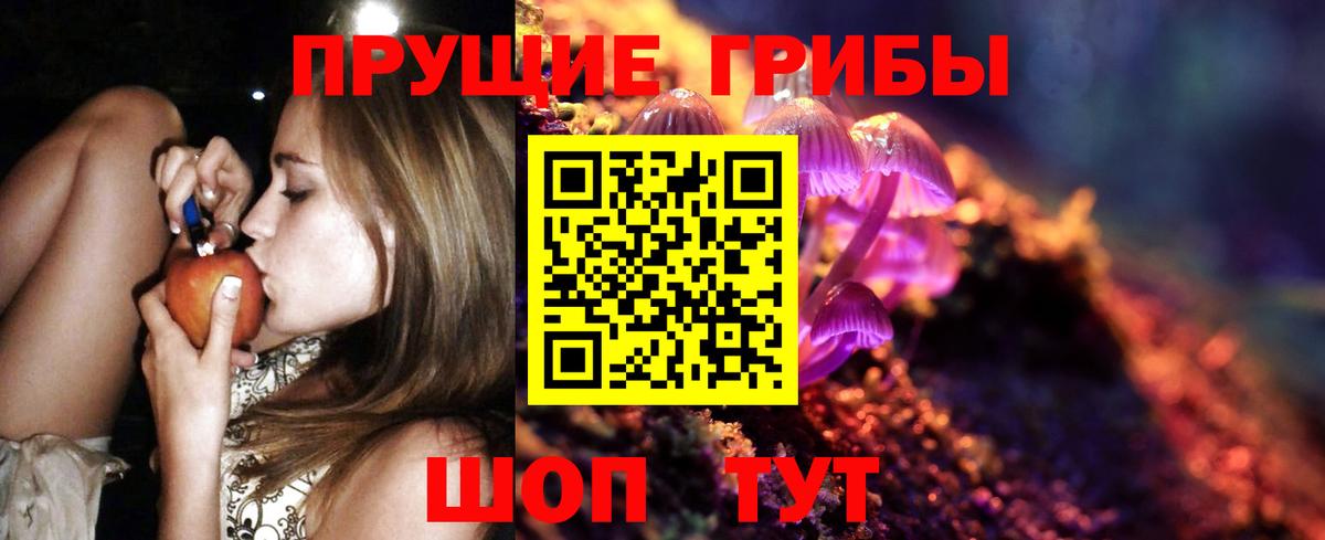 Псилоцибиновые грибы Cubensis Димитровград
